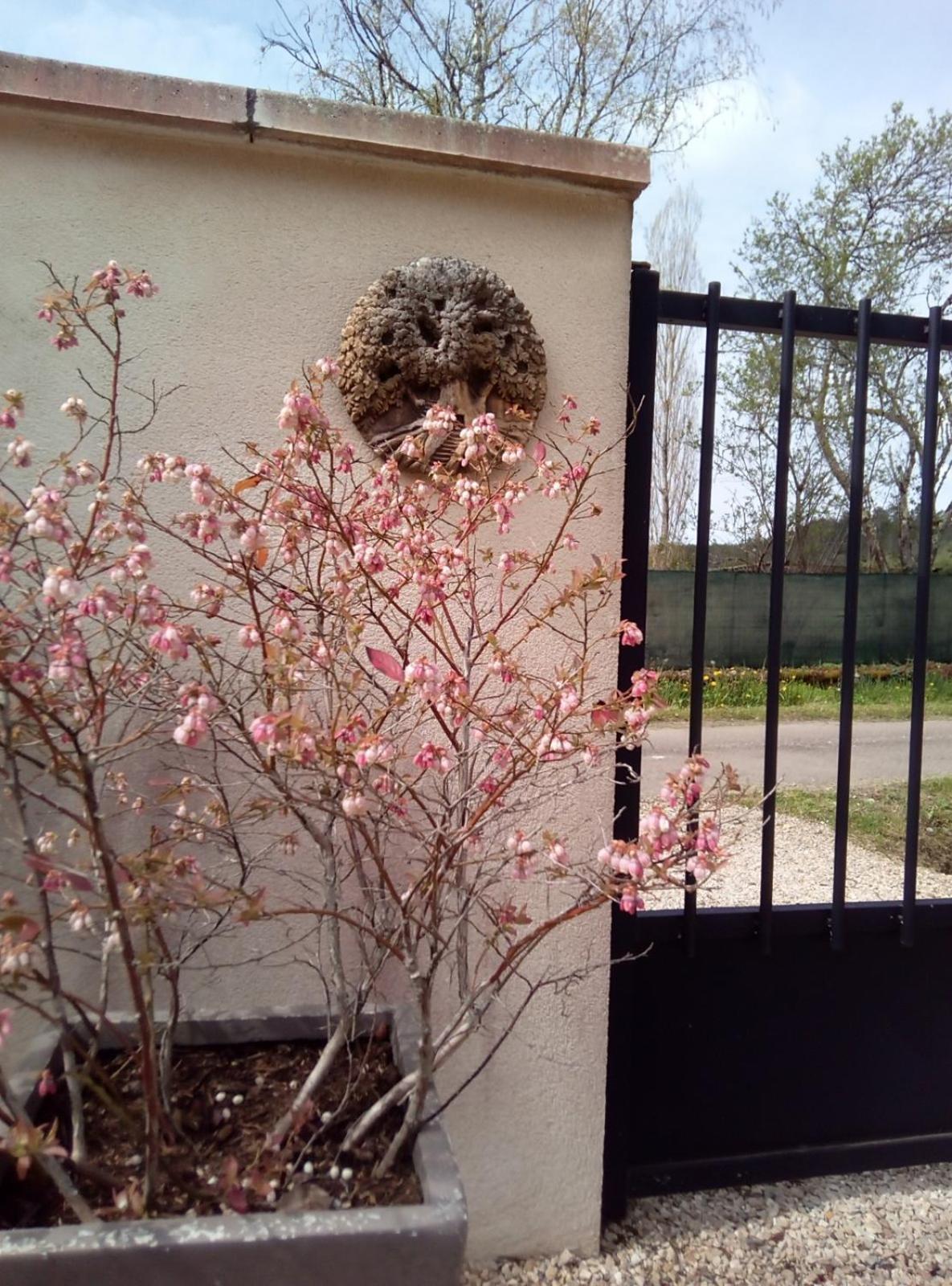 Le Repos Coquelicot Bed & Breakfast Montillot Exterior photo